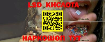 гидропоника Апшеронск
